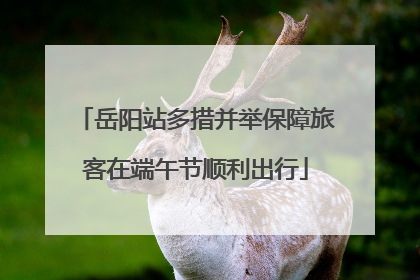岳阳站多措并举保障旅客在端午节顺利出行