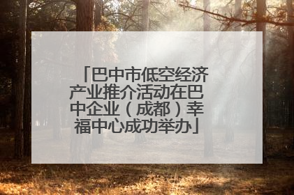 巴中市低空经济产业推介活动在巴中企业（成都）幸福中心成功举办