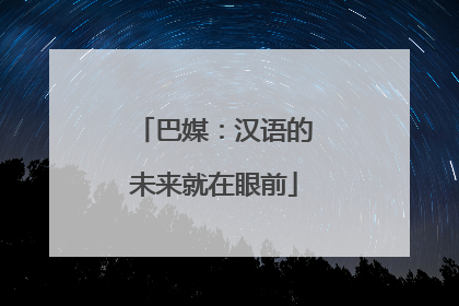 巴媒：汉语的未来就在眼前
