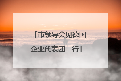 市领导会见德国企业代表团一行
