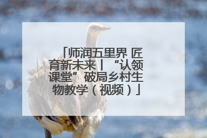 师润五里界 匠育新未来丨“认领课堂”破局乡村生物教学（视频）