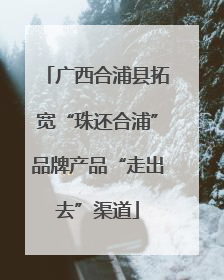广西合浦县拓宽“珠还合浦”品牌产品“走出去”渠道