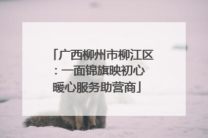 广西柳州市柳江区：一面锦旗映初心 暖心服务助营商