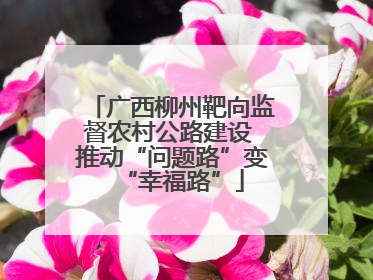 广西柳州靶向监督农村公路建设 推动“问题路”变“幸福路”