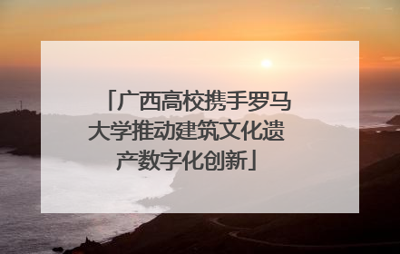 广西高校携手罗马大学推动建筑文化遗产数字化创新