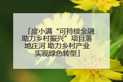 度小满“可持续金融助力乡村振兴”项目落地庄河 助力乡村产业实现绿色转型