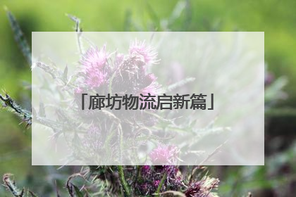 廊坊物流启新篇