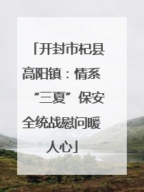 开封市杞县高阳镇：情系“三夏”保安全统战慰问暖人心