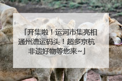 开集啦！运河市集亮相通州漕运码头！超多京杭非遗好物等您来~