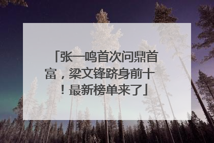 张一鸣首次问鼎首富，梁文锋跻身前十！最新榜单来了