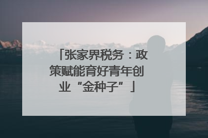 张家界税务：政策赋能育好青年创业“金种子”