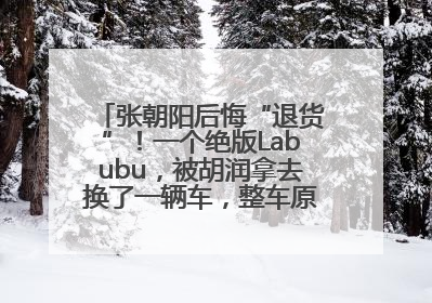 张朝阳后悔“退货”！一个绝版Labubu，被胡润拿去换了一辆车，整车原价值上百万元