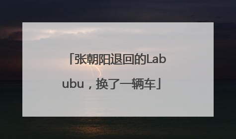 张朝阳退回的Labubu，换了一辆车