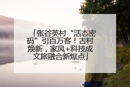 张谷英村“活态密码”引百万客！古村焕新，家风+科技成文旅融合新爆点