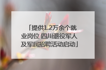 提供1.2万余个就业岗位 四川退役军人及军属招聘活动启动