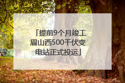 提前9个月竣工 眉山西500千伏变电站正式投运