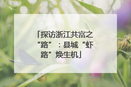 探访浙江共富之“路”：县城“虾路”焕生机