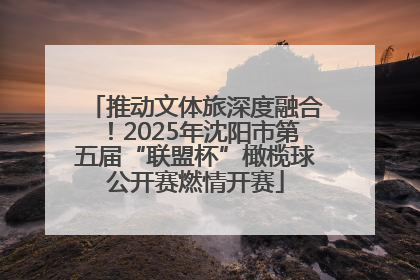 推动文体旅深度融合！2025年沈阳市第五届“联盟杯”橄榄球公开赛燃情开赛