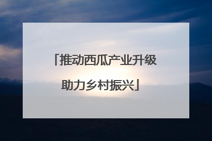推动西瓜产业升级 助力乡村振兴