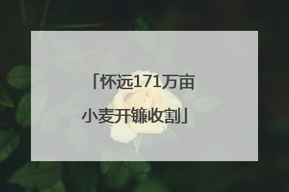 怀远171万亩小麦开镰收割