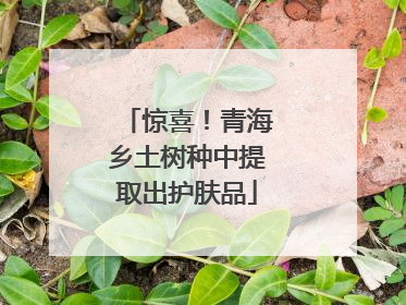 惊喜！青海乡土树种中提取出护肤品
