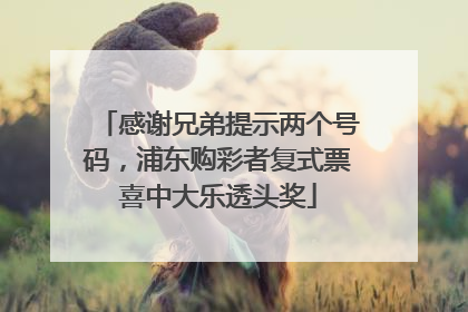 感谢兄弟提示两个号码，浦东购彩者复式票喜中大乐透头奖
