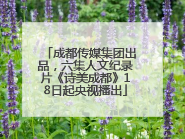 成都传媒集团出品，六集人文纪录片《诗美成都》18日起央视播出