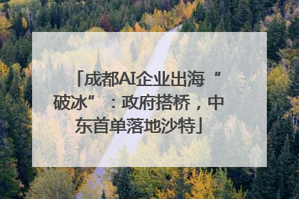 成都AI企业出海“破冰”：政府搭桥，中东首单落地沙特