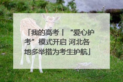 我的高考丨“爱心护考”模式开启 河北各地多举措为考生护航