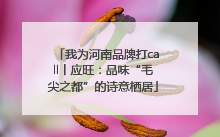 我为河南品牌打call丨应旺：品味“毛尖之都”的诗意栖居