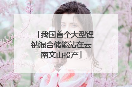 我国首个大型锂钠混合储能站在云南文山投产