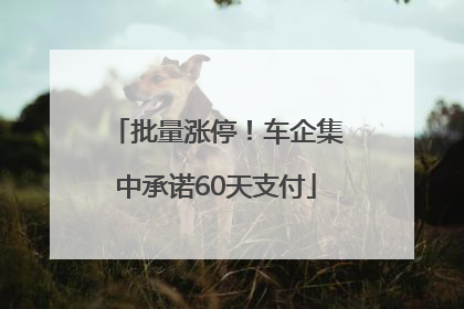 批量涨停！车企集中承诺60天支付