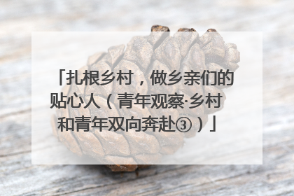 扎根乡村，做乡亲们的贴心人（青年观察·乡村和青年双向奔赴③）