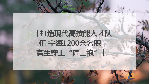 打造现代高技能人才队伍 宁海1200余名职高生穿上“匠士袍”
