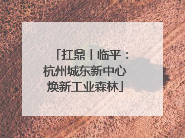 扛鼎丨临平：杭州城东新中心焕新工业森林
