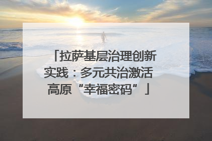 拉萨基层治理创新实践：多元共治激活高原“幸福密码”