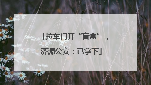 拉车门开“盲盒”，济源公安：已拿下