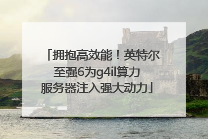 拥抱高效能！英特尔至强6为g4il算力服务器注入强大动力