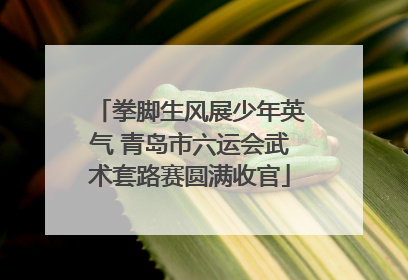 拳脚生风展少年英气 青岛市六运会武术套路赛圆满收官