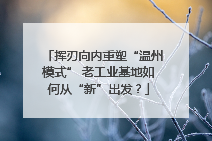 挥刃向内重塑“温州模式” 老工业基地如何从“新”出发？