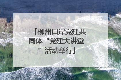 柳州口岸党建共同体“党建大讲堂”活动举行