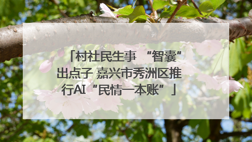 村社民生事 “智囊”出点子 嘉兴市秀洲区推行AI“民情一本账”