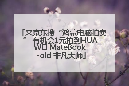 来京东搜“鸿蒙电脑拍卖” 有机会1元拍到HUAWEI MateBook Fold 非凡大师