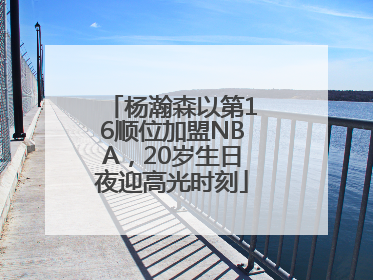 杨瀚森以第16顺位加盟NBA，20岁生日夜迎高光时刻