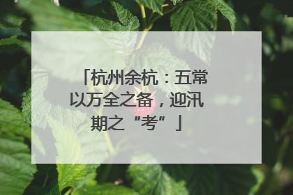 杭州余杭：五常以万全之备，迎汛期之“考”