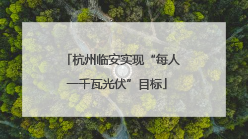 杭州临安实现“每人一千瓦光伏”目标