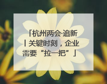 杭州两会·追新丨关键时刻，企业需要“拉一把”