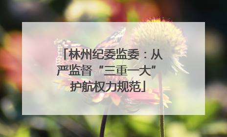 林州纪委监委：从严监督“三重一大” 护航权力规范
