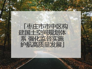 枣庄市市中区构建国土空间规划体系 强化监督实施护航高质量发展
