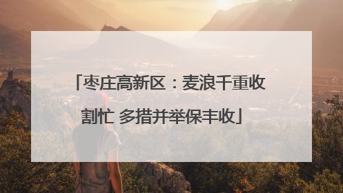 枣庄高新区：麦浪千重收割忙 多措并举保丰收